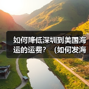 如何降低深圳到美国海运的运费？（如何发海运更省钱）（图4）