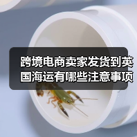 跨境电商卖家发货到英国海运有哪些注意事项？（图2）