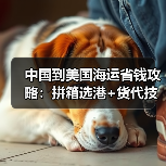 中国到美国海运省钱攻略:拼箱选港+货代技巧大揭秘(图2) 中国到美国海运省钱攻略:拼箱选港+货代技巧大揭秘(图2)