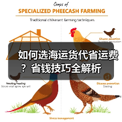 如何选海运货代省运费?省钱技巧全解析(图3) 如何选海运货代省运费?省钱技巧全解析(图3)