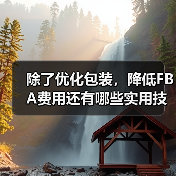 除了优化包装,降低FBA费用还有哪些实用技巧?(图2) 除了优化包装,降低FBA费用还有哪些实用技巧?(图2)