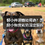 轻小件运输如何选?国际小包优劣势深度解析(图4) 轻小件运输如何选?国际小包优劣势深度解析(图4)