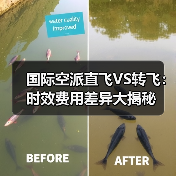 国际空派直飞VS转飞：时效费用差异大揭秘（图1）