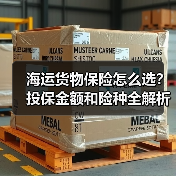 海运货物保险怎么选?投保金额和险种全解析(图1) 海运货物保险怎么选?投保金额和险种全解析(图1)