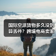 国际空派货物多久没到算丢件?跨境电商卖家避坑指南(图3) 国际空派货物多久没到算丢件?跨境电商卖家避坑指南(图3)