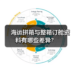 海运拼箱与整箱订舱资料有哪些差异？（图3）