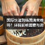 国际快递到韩国清关难吗?详解影响因素与避坑指南(图2) 国际快递到韩国清关难吗?详解影响因素与避坑指南(图2)