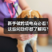 新手做跨境电商必看!这些问题你都了解吗?(图2) 新手做跨境电商必看!这些问题你都了解吗?(图2)
