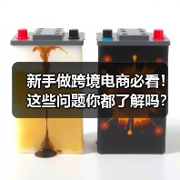 新手做跨境电商必看!这些问题你都了解吗?(图4) 新手做跨境电商必看!这些问题你都了解吗?(图4)