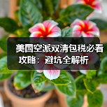 美国空派双清包税必看攻略：避坑全解析（图3）