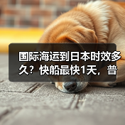 国际海运到日本时效多久?快船最快1天,普通7-15天(图2) 国际海运到日本时效多久?快船最快1天,普通7-15天(图2)