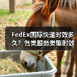 FedEx国际快递时效多久?各类服务类型时效详解(图3) FedEx国际快递时效多久?各类服务类型时效详解(图3)