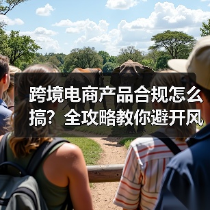 跨境电商产品合规怎么搞?全攻略教你避开风险(图4) 跨境电商产品合规怎么搞?全攻略教你避开风险(图4)