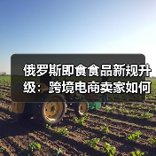俄罗斯即食食品新规升级:跨境电商卖家如何应对?(图1) 俄罗斯即食食品新规升级:跨境电商卖家如何应对?(图1)