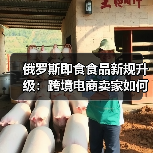俄罗斯即食食品新规升级:跨境电商卖家如何应对?(图3) 俄罗斯即食食品新规升级:跨境电商卖家如何应对?(图3)