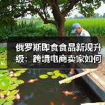 俄罗斯即食食品新规升级:跨境电商卖家如何应对?(图4) 俄罗斯即食食品新规升级:跨境电商卖家如何应对?(图4)