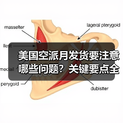 美国空派月发货要注意哪些问题?关键要点全解析(图2) 美国空派月发货要注意哪些问题?关键要点全解析(图2)