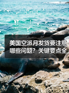 美国空派月发货要注意哪些问题?关键要点全解析(图1) 美国空派月发货要注意哪些问题?关键要点全解析(图1)