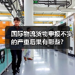 国际物流货物申报不实的严重后果有哪些？（图2）