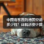 中国寄东西到德国空运多少钱?详解运费计算方式(图2) 中国寄东西到德国空运多少钱?详解运费计算方式(图2)