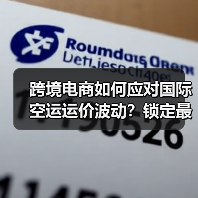 跨境电商如何应对国际空运运价波动？锁定最优策略指南（图2）