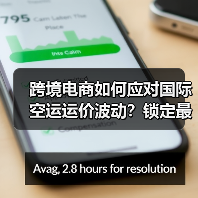 跨境电商如何应对国际空运运价波动？锁定最优策略指南（图1）