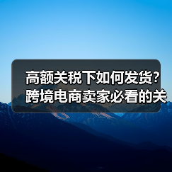 高额关税下如何发货？跨境电商卖家必看的关键点（图2）