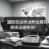 国际空运燃油附加费真的无法避免吗?(图4) 国际空运燃油附加费真的无法避免吗?(图4)