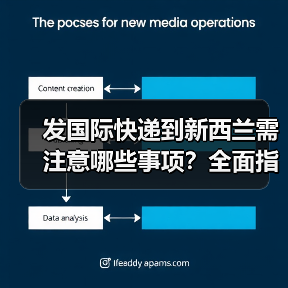 发国际快递到新西兰需注意哪些事项？全面指南解析（图2）