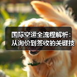 国际空运全流程解析：从询价到签收的关键技巧（图4）
