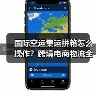国际空运集运拼箱怎么操作?跨境电商物流全流程解析(图4) 国际空运集运拼箱怎么操作?跨境电商物流全流程解析(图4)