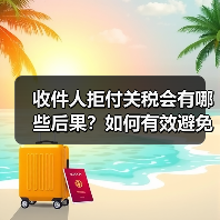 收件人拒付关税会有哪些后果?如何有效避免损失?(图4) 收件人拒付关税会有哪些后果?如何有效避免损失?(图4)