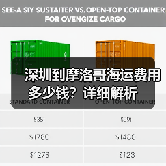 深圳到摩洛哥海运费用多少钱?详细解析(图4) 深圳到摩洛哥海运费用多少钱?详细解析(图4)