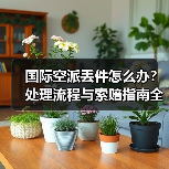 国际空派丢件怎么办?处理流程与索赔指南全解析(图2) 国际空派丢件怎么办?处理流程与索赔指南全解析(图2)