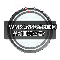 WMS海外仓系统如何革新国际空运?(图3) WMS海外仓系统如何革新国际空运?(图3)