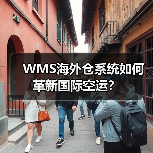 WMS海外仓系统如何革新国际空运?(图4) WMS海外仓系统如何革新国际空运?(图4)