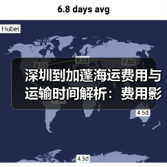 深圳到加蓬海运费用与运输时间解析:费用影响因素及参考周期(图4) 深圳到加蓬海运费用与运输时间解析:费用影响因素及参考周期(图4)