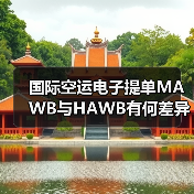 国际空运电子提单MAWB与HAWB有何差异?(图1) 国际空运电子提单MAWB与HAWB有何差异?(图1)