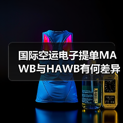 国际空运电子提单MAWB与HAWB有何差异?(图4) 国际空运电子提单MAWB与HAWB有何差异?(图4)
