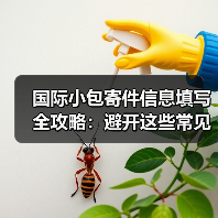 国际小包寄件信息填写全攻略:避开这些常见错误(图3) 国际小包寄件信息填写全攻略:避开这些常见错误(图3)