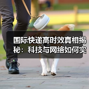 国际快递高时效真相揭秘：科技与网络如何实现全球速递？（图1）