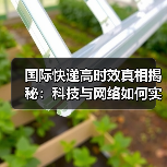 国际快递高时效真相揭秘：科技与网络如何实现全球速递？（图2）