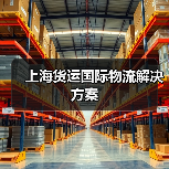 上海货运国际物流解决方案（图1）