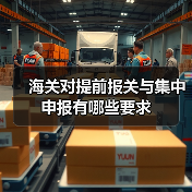 海关对提前报关与集中申报有哪些要求