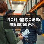 海关对提前报关与集中申报有哪些要求(图3) 海关对提前报关与集中申报有哪些要求(图3)