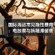 国际海运常见隐性费用:电放费与拆箱滞留费如何影响成本(图3) 国际海运常见隐性费用:电放费与拆箱滞留费如何影响成本(图3)