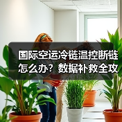 国际空运冷链温控断链怎么办?数据补救全攻略(图3) 国际空运冷链温控断链怎么办?数据补救全攻略(图3)