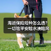 海运保险险种怎么选？一切险平安险水渍险风险对比全解析
