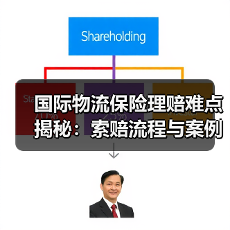 国际物流保险理赔难点揭秘：索赔流程与案例全解析（图3）