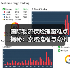 国际物流保险理赔难点揭秘：索赔流程与案例全解析